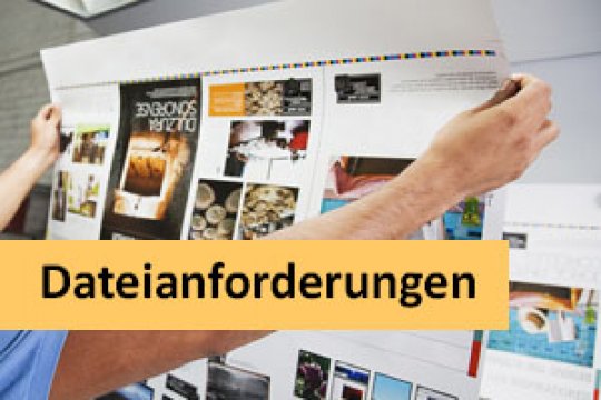 Bild